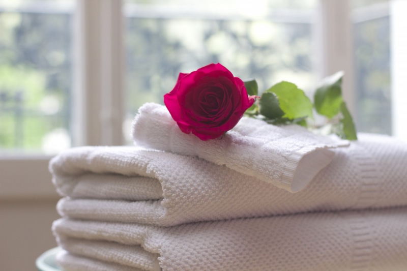 chambre-hote-ST SAUVEUR SUR TINEE-min_towel_rose_clean_care_salon_spa_white_bath-731641